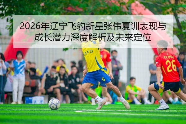 2026年辽宁飞豹新星张伟夏训表现与成长潜力深度解析及未来定位